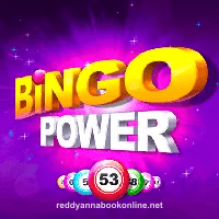 Bingo Power game
